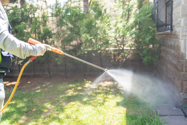 Best Insect Control  in District Heights, MD