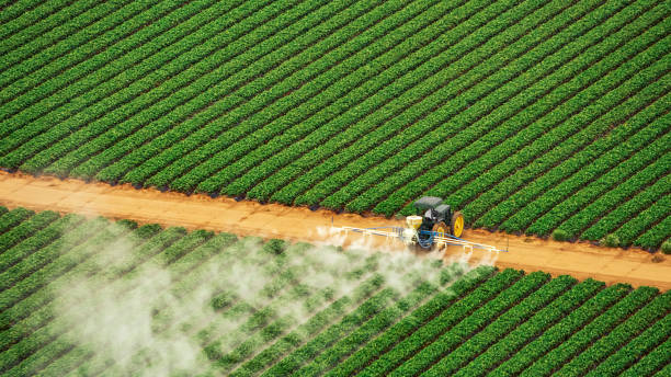 Best Commercial Pest Control Services  in District Heights, MD