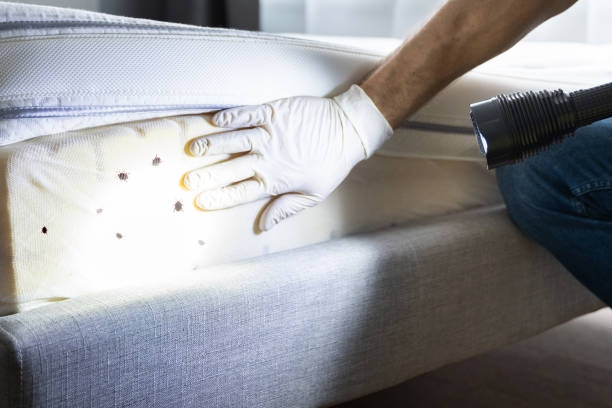  District Heights, MD Pest Control Pros