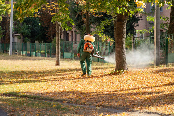 Best Emergency Pest Control  in District Heights, MD